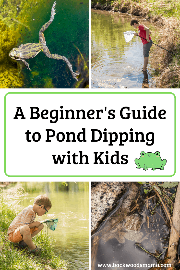 Pond dipping kids