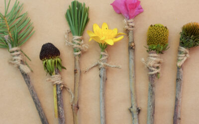 DIY Nature Paintbrushes for Kids (Simple Outdoor Art)