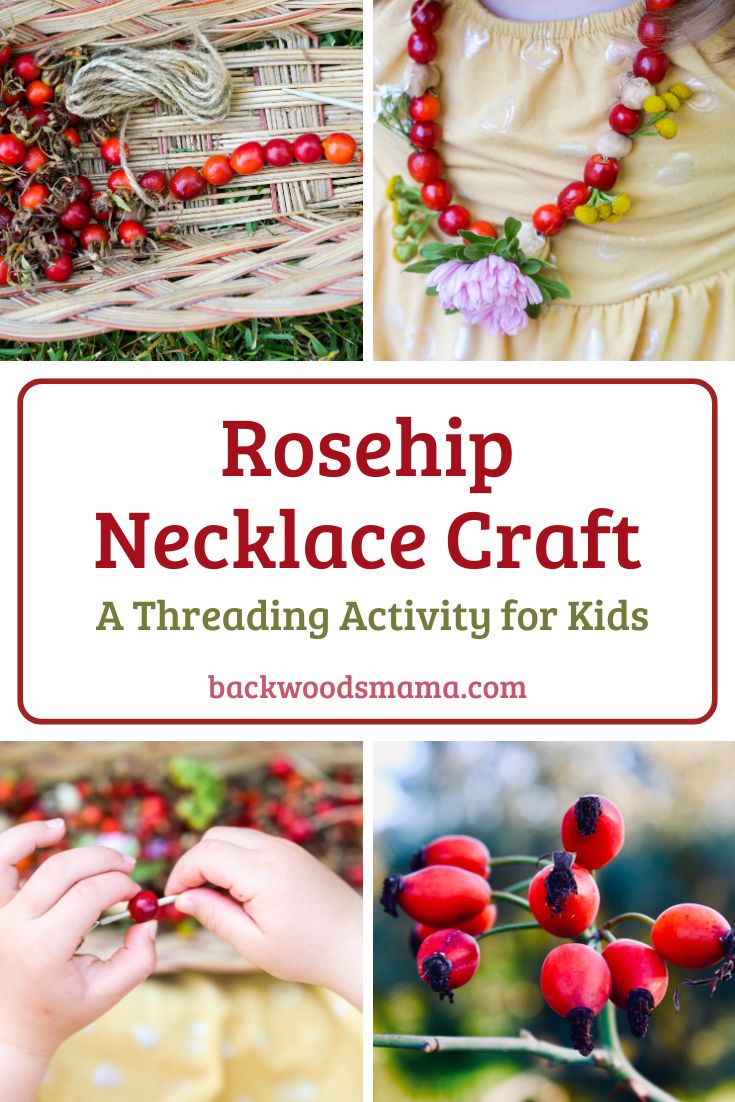 Rosehip Necklace Craft for Preschoolers