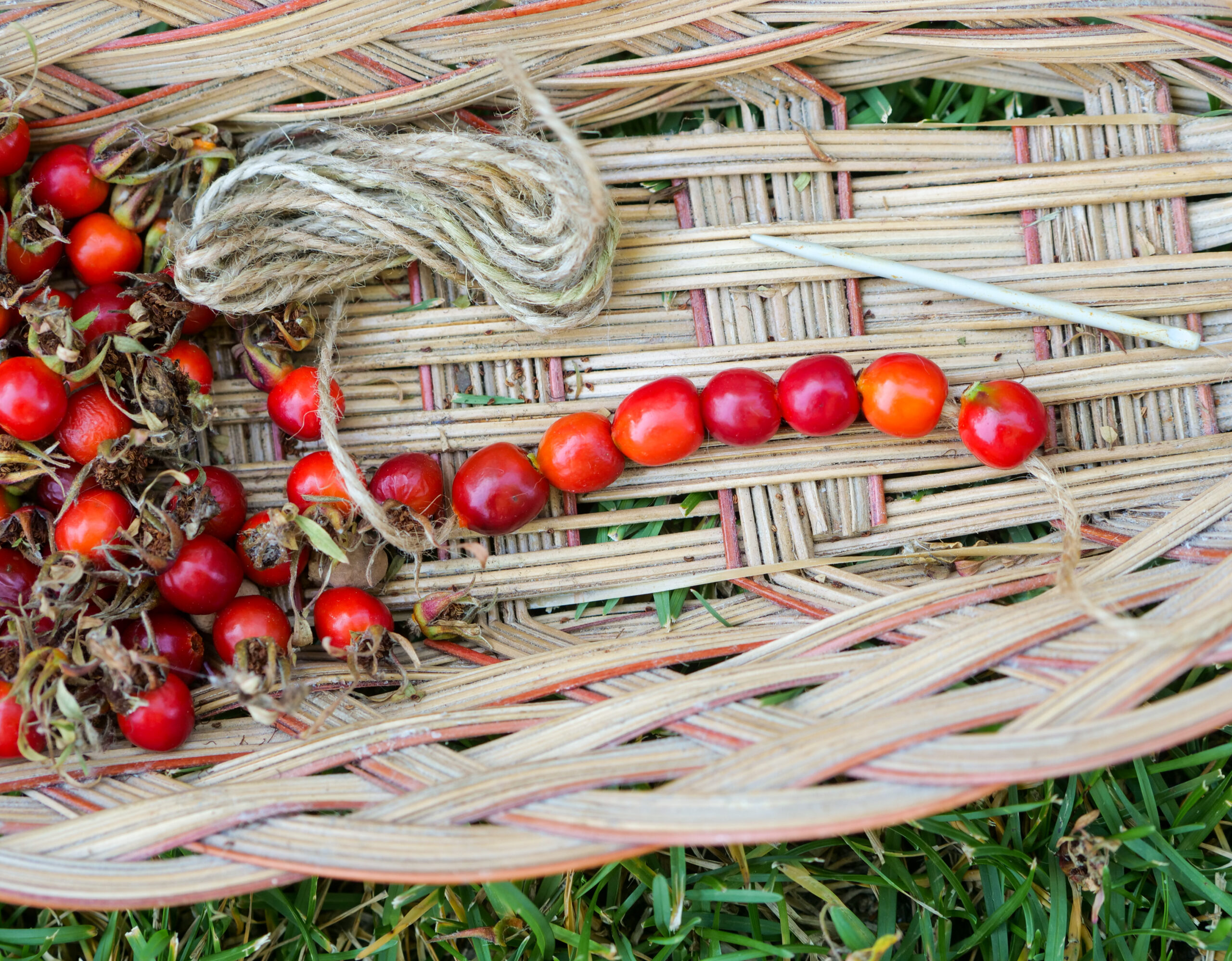 Rosehip Necklace Craft for Preschoolers