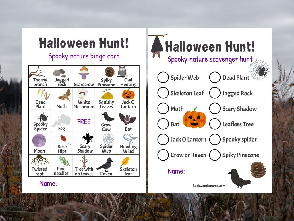 Halloween Nature Scavenger Hunt and Bingo Cards