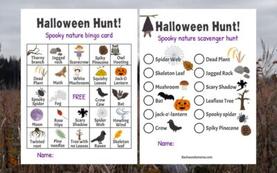 Halloween Nature Scavenger Hunt & Bingo (Free Printables!)