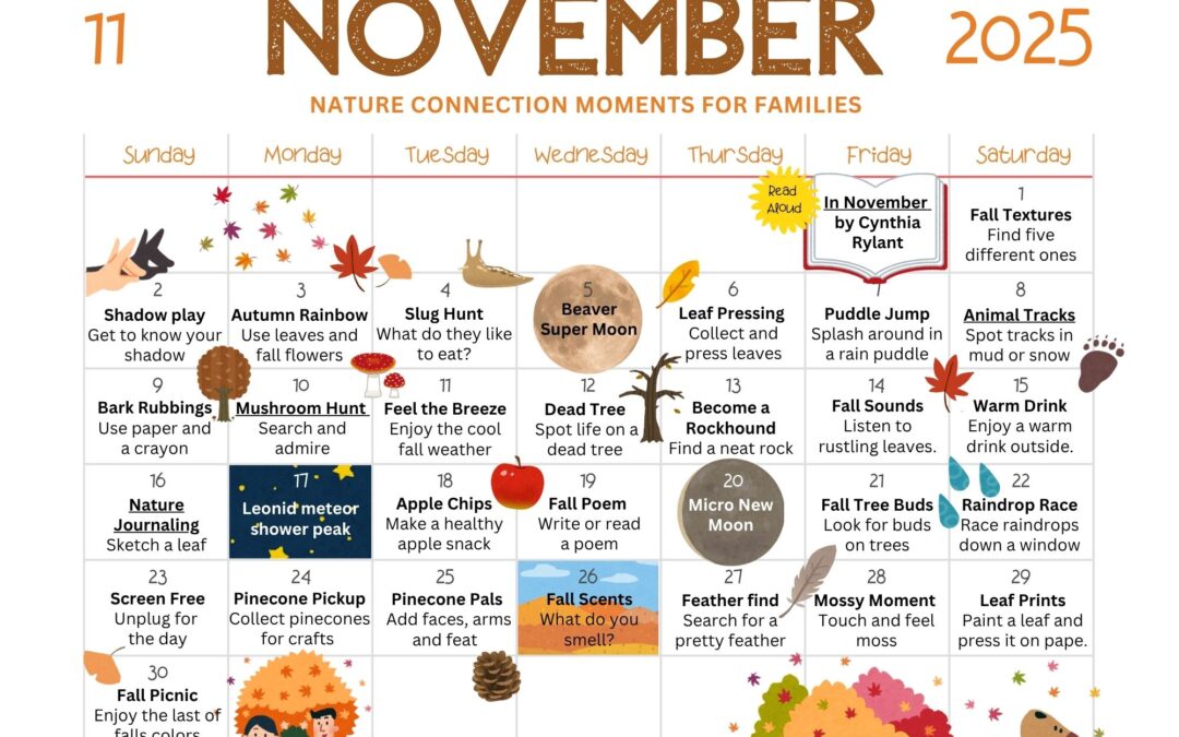November 2025 Nature Connection Calendar for Families