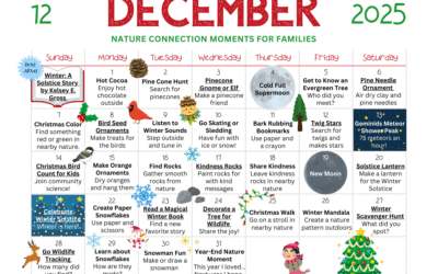 December 2025 Nature Connection Calendar for Families