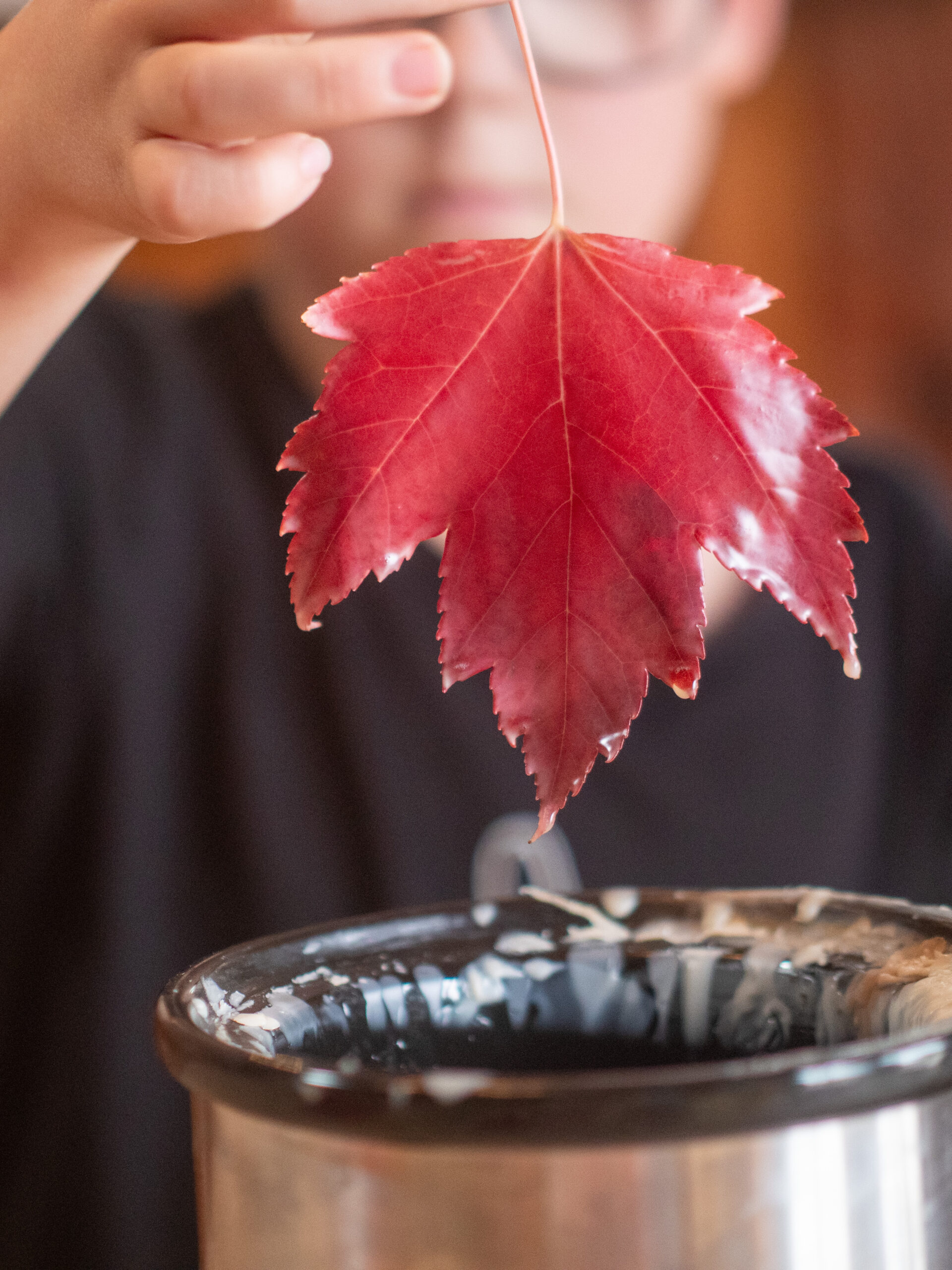 Outdoor winter activities for kids when there’s no snow by Josée Bergeron