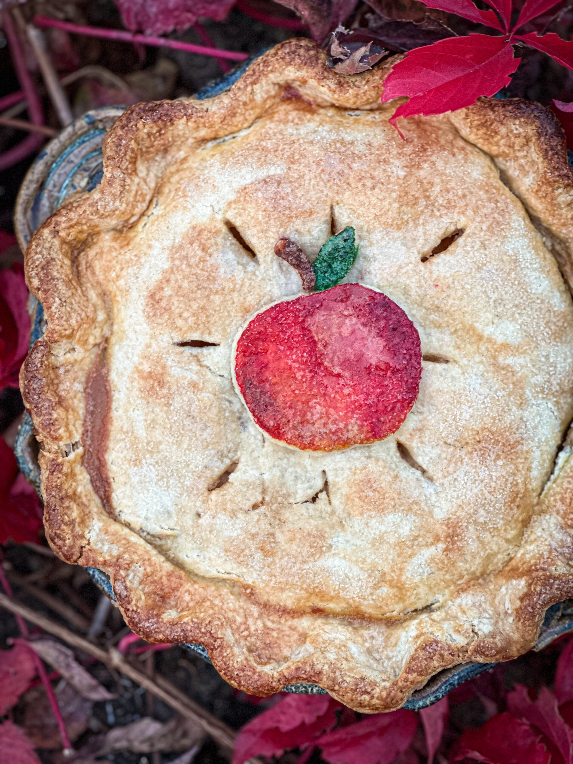 Outdoor winter activities for kids when there’s no snow by Josée Bergeron